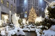 Shopping christmas New York - Albero di Natale