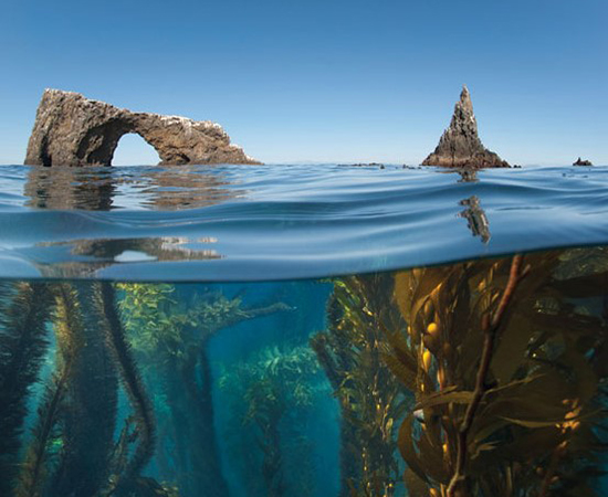 parco nazionale Channel Islands agenzia viaggi