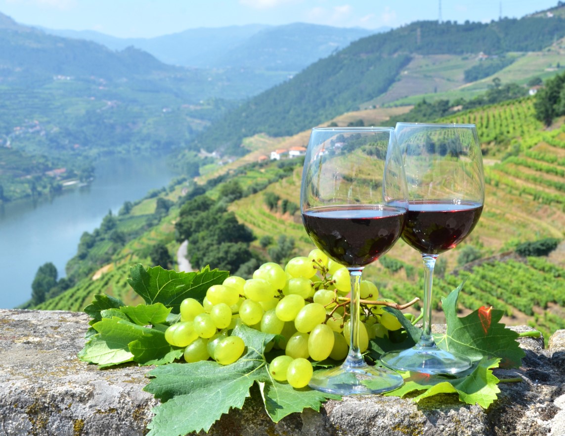 degustazioni di vini valle del duoro