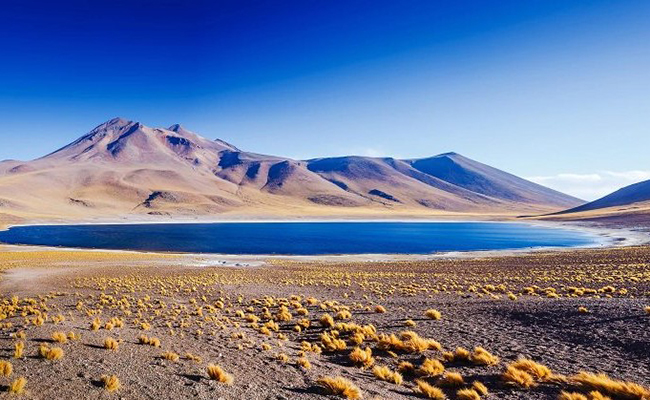 deserto di Atacama viaggio in Cile