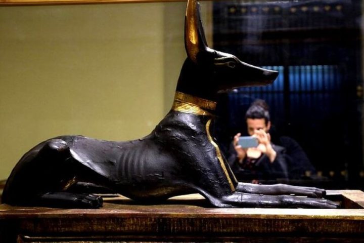 reperto dio anubi museo egizio del cairo