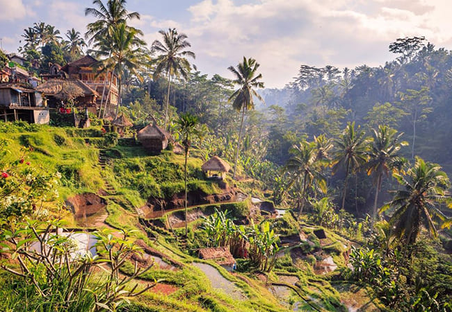Bali Payangan vacanza in Indonesia