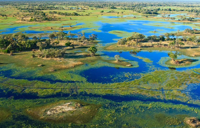 quando visitare il Delta dell'Okavango agenzia viaggi