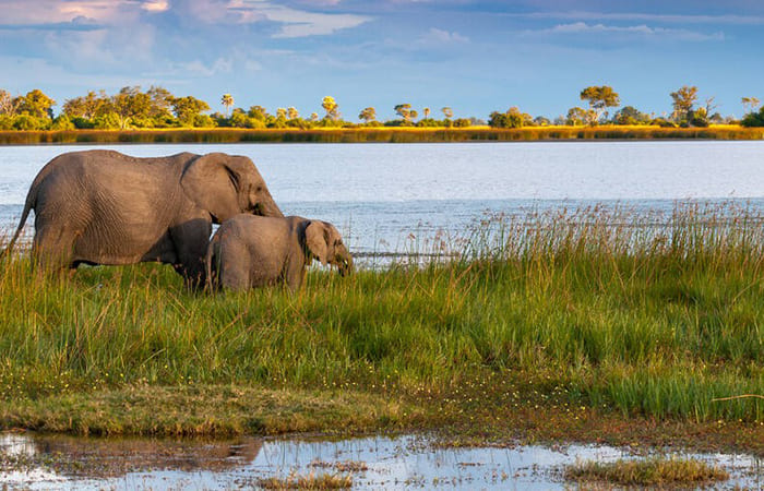 visitare il Delta dell'Okavango agenzia viaggi