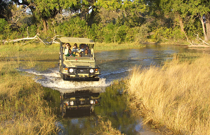 esperienze safari Delta dell'Okavango