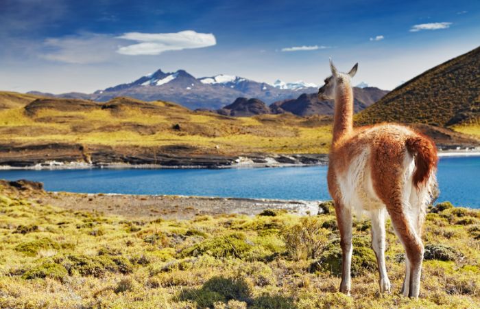 Viaggio in Patagonia Patagonia