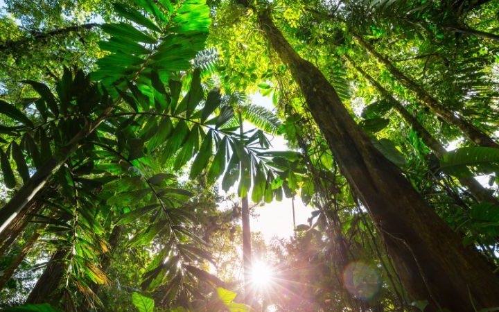 viaggio eco-friendly a Costa Rica